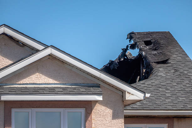Top rated local Fire Board Up specialists in Spring Valley, WI